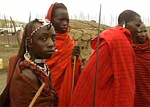 tribu.jpg